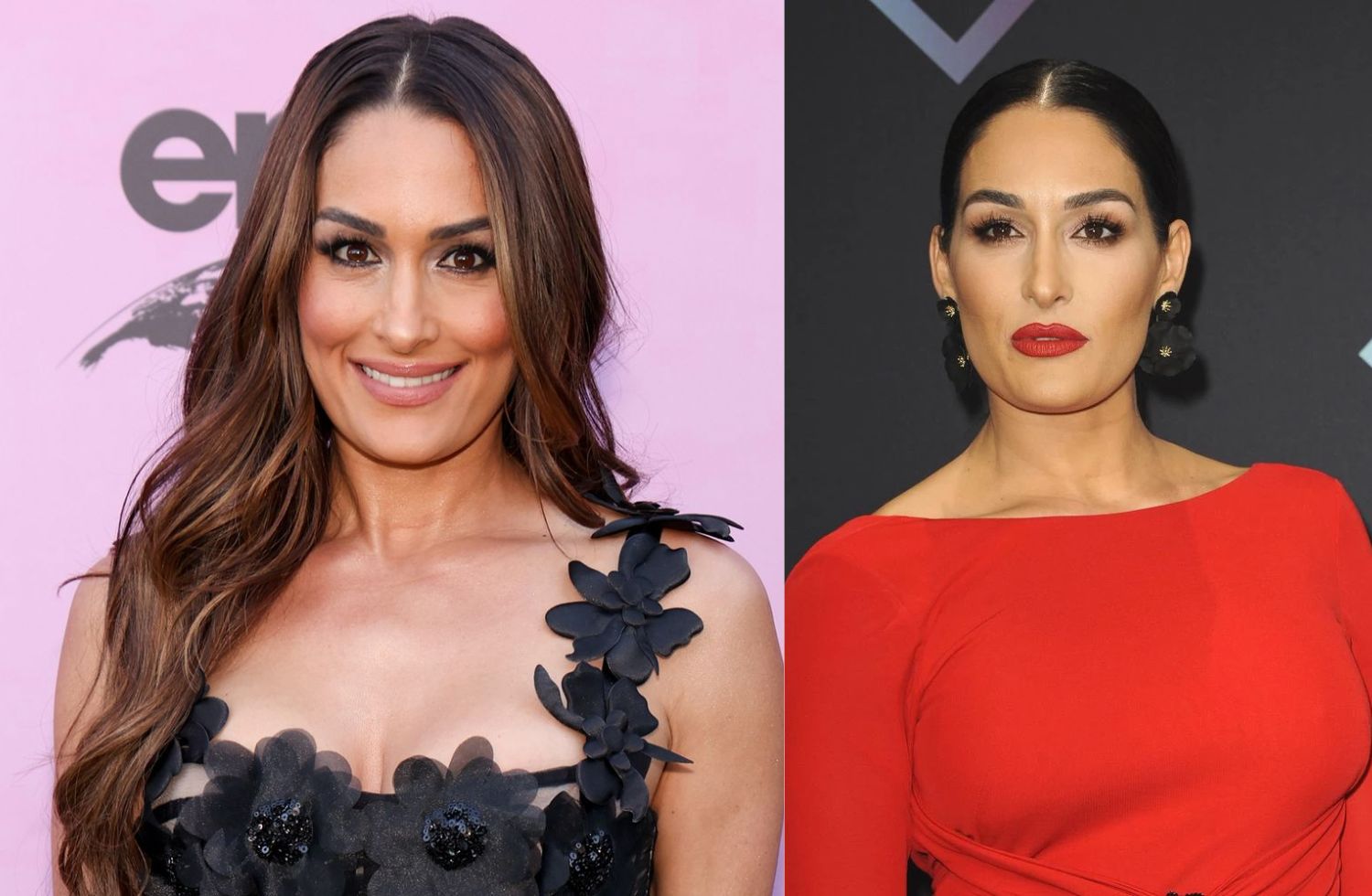 nikki garcia net worth