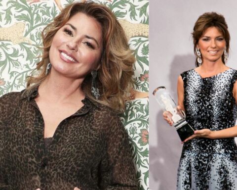 shania twain net worth