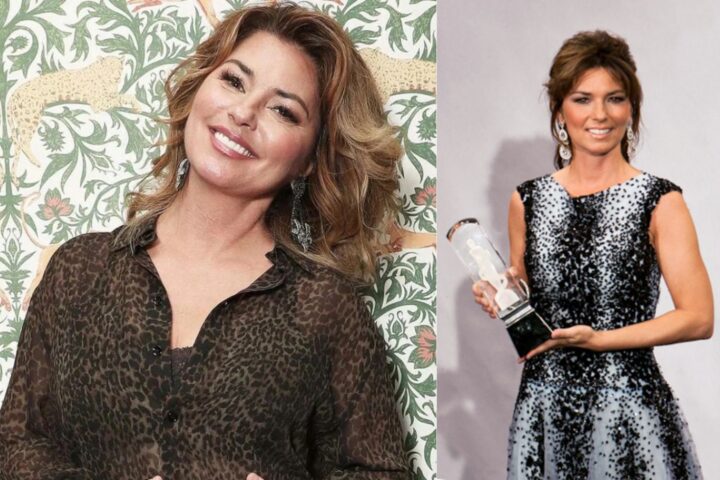 shania twain net worth