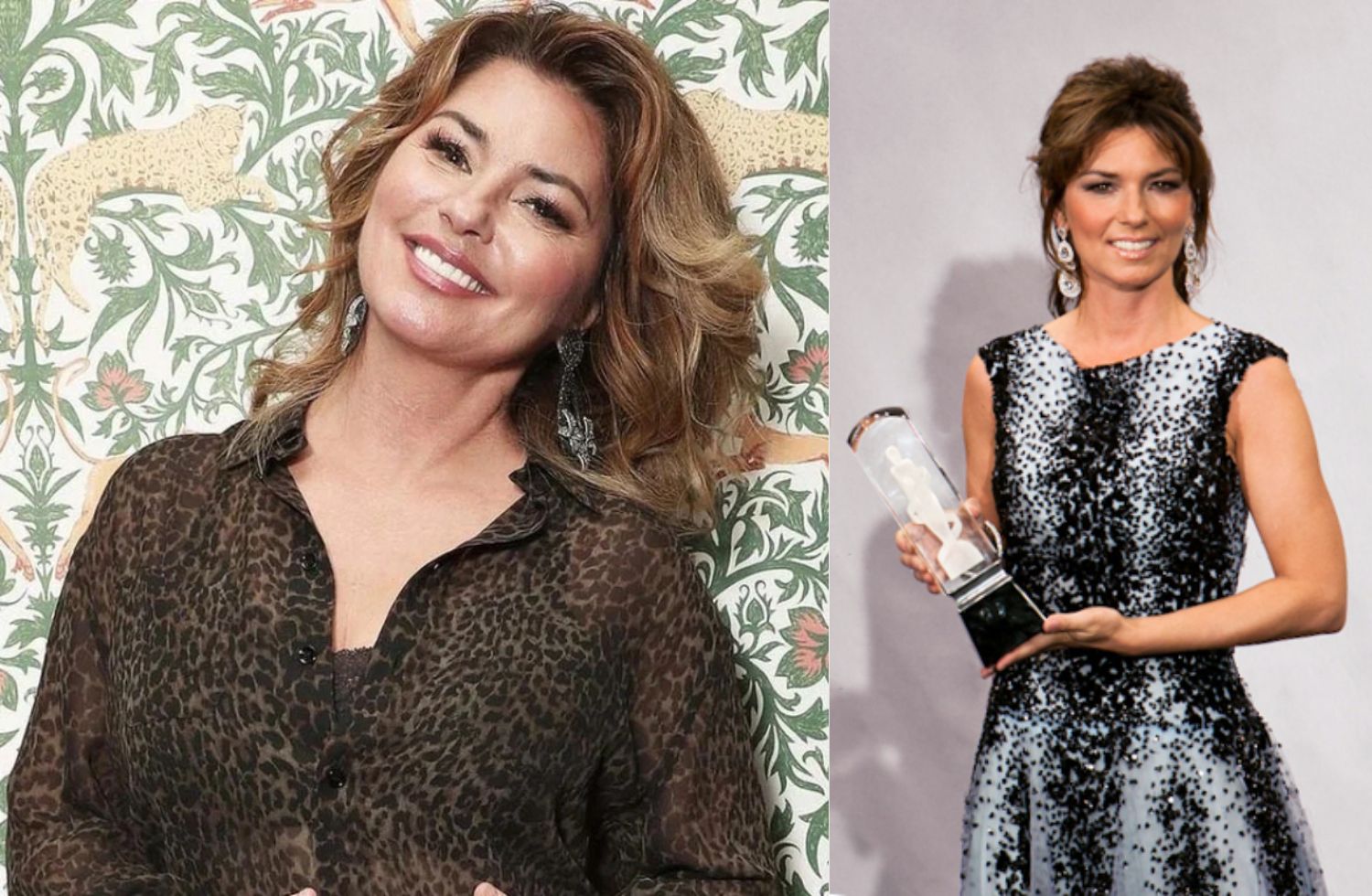 shania twain net worth